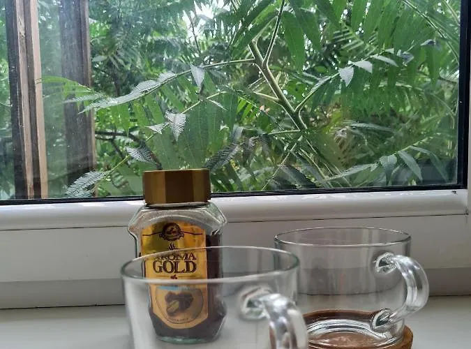 Διαμέρισμα Old Town Vytautas *